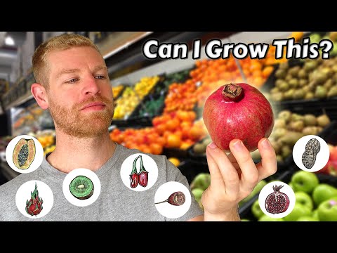 I Grew Fruit Trees from Store Bought Fruits and this is what happened - Full