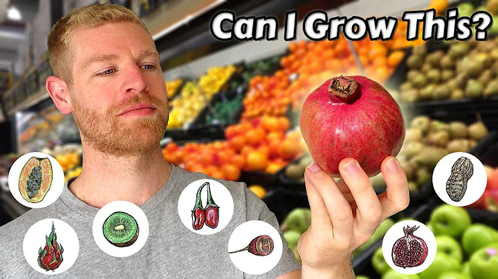 I Grew Fruit Trees from Store Bought Fruits and this is what happened - Full Tutorial - DayDayNews