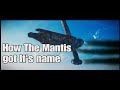 Star Wars Jedi Survivor: How The Mantis got it's name