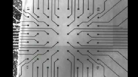 Neuronal avalanches induced in the acute prefrontal cortex slice (rat)