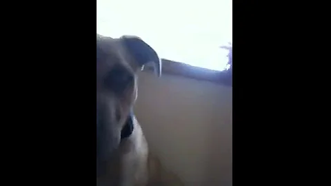 Brooke hodges first video