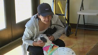 Deaf woman travels from Massachusetts to Tyler, Texas to adopt two deaf puppies