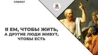 Сократ цитаты и афоризмы