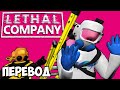 LETHAL COMPANY Смешные моменты (перевод) 🕷️ ПРИКОЛЫ С ЛЕСТНИЦАМИ (Wildcat)