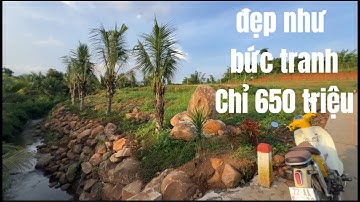 Gần nhà mình có bán đất vườn vừa rẻ vừa đẹp, view cực đỉnh ở TP HCM