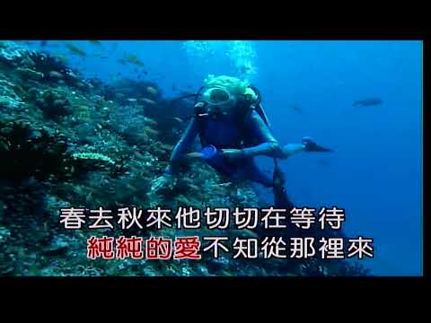 純純的愛~銀霞~女Ab調~伴奏~導唱~金嗓(丙)