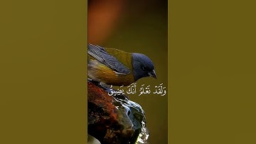 #القارئ اسلام صبحي.   أكتب شئ تؤجر عليه ويشفع لك يوم القيامه