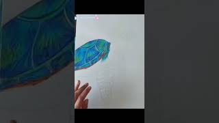 Turtle Art   #Shorts 59