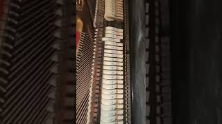 The upright piano's hammers are getting stuck. How fix it DIY. #diy #musicalinstrument #pianotuning
