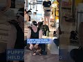 Puppy yoga class held at 360 Chicago
