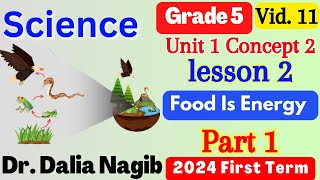 Science Grade 5 Concept 2 lesson 2 Food Is Energy P# 1 ساينس خامسة ابتدائى المنهج الجديد الترم الاول