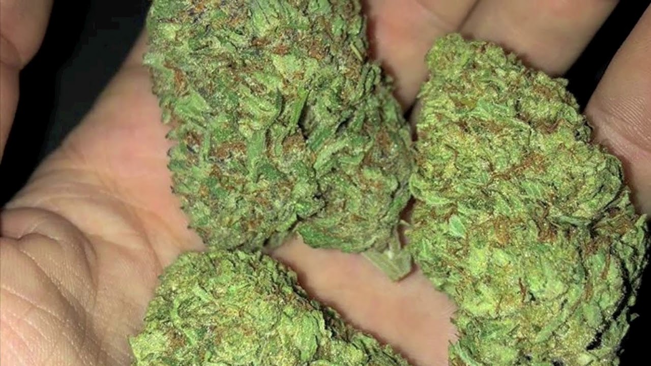 How Do Four Completely Different Cuts of Sunset Sherbet Compare? What's in a Strain Name: Ep. 1