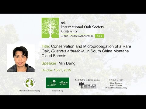 Conservation and Micropropagation of a Rare Oak, Quercus arbutifolia, in China Montane Cloud Forests