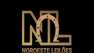🐮 TRADICIONAL LEILÃO DE GADO DE CORTE  - NOROESTE LEILÕES EM UNAI - MG