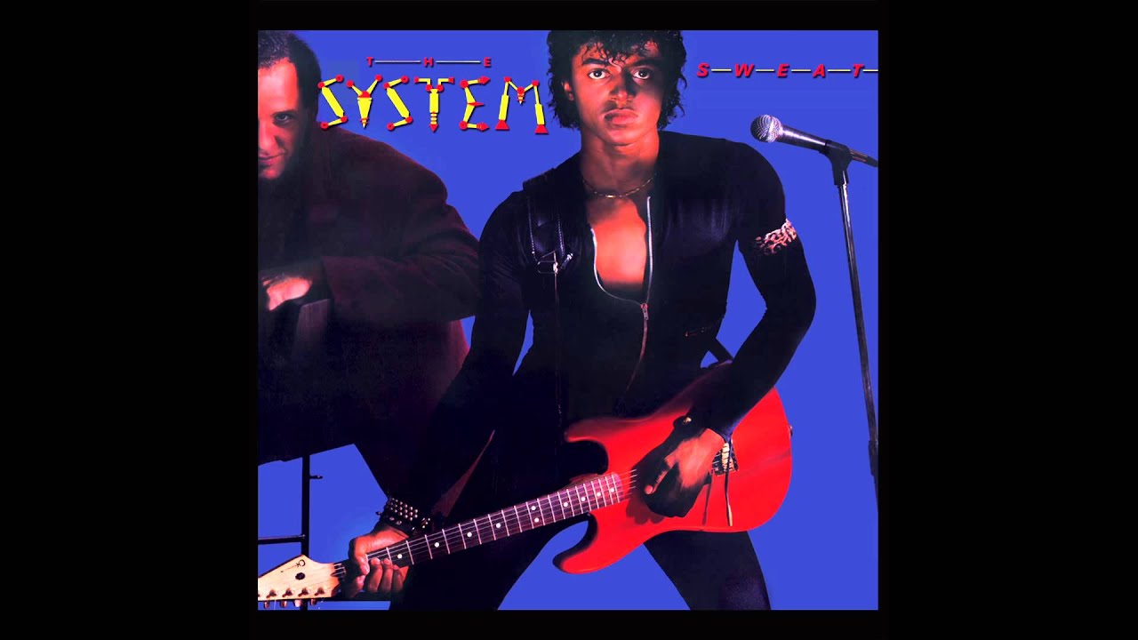 The System - You are in my System
