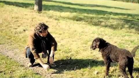 Advent 2013- Day 17: Remain in Me