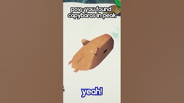 Found Capybaras in Peak