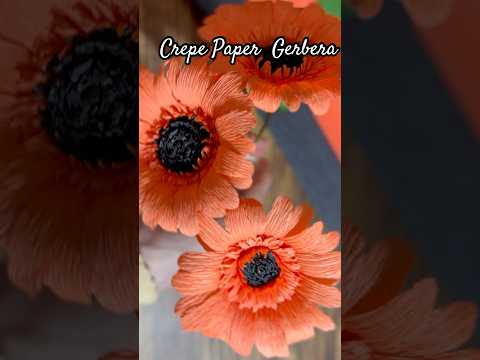 Amazing Gerbera Crepe