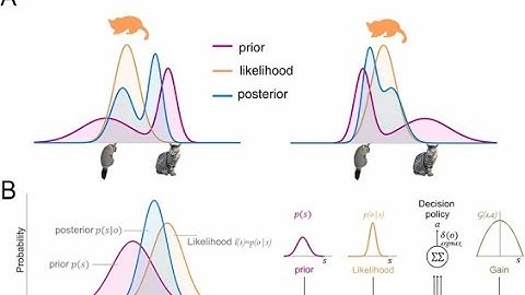 Decoding Likelihood-Based Inference: An Introduction (4 Minutes)