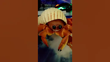 Tim does the crab rave