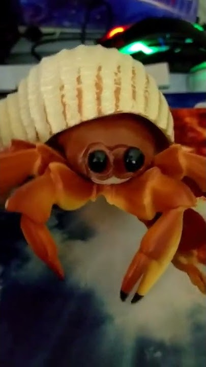 Tim does the crab rave