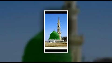 سورة النبأ القارئ محمد علي