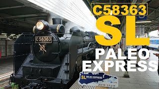 Vlog【秩父】SLパレオエクスプレス　蒸気機関車に乗って秩父にGO!『ソロ活女子旅』