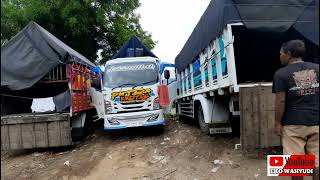 Usaha truk 10 juta 1 bulan | pedot wong