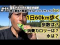 【計測】1日60km歩く男の1日の歩数がやばすぎた。。。