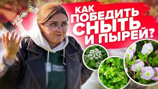 КАК УБРАТЬ СОРНЯКИ НАВСЕГДА?! Мокрицу, сныть, вьюн, портулак и другие