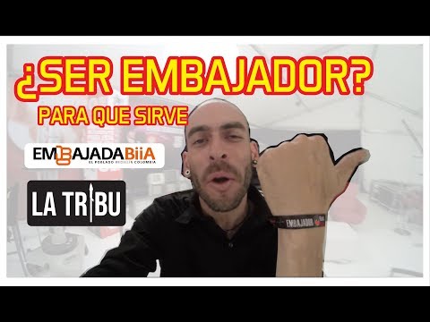 Que Tipo De Empleo Es Embajador