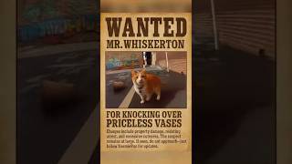 Cat Wanted In 50 States For Knocking Over Priceless Vases