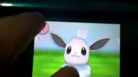 3rd Shiny Eevee Found At 5 REs In A Friend Safari!