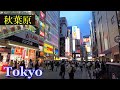 秋葉原 Tokyo Evening Walking ✨4K Akihabara Shopping Streets Japan🎧HQ Binaural 電気街 (千代田区) 睡眠用・東京散歩