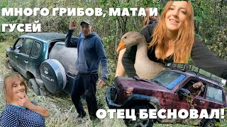 Застряли на Ниве. Вытаскивали Нивой! Куча мата, осторожно!