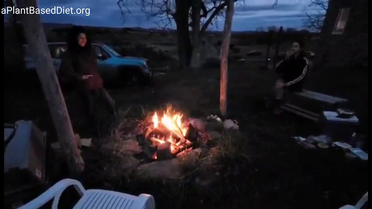 The REED Center for Ecosystem Reintegration Middletown, MD YouTube