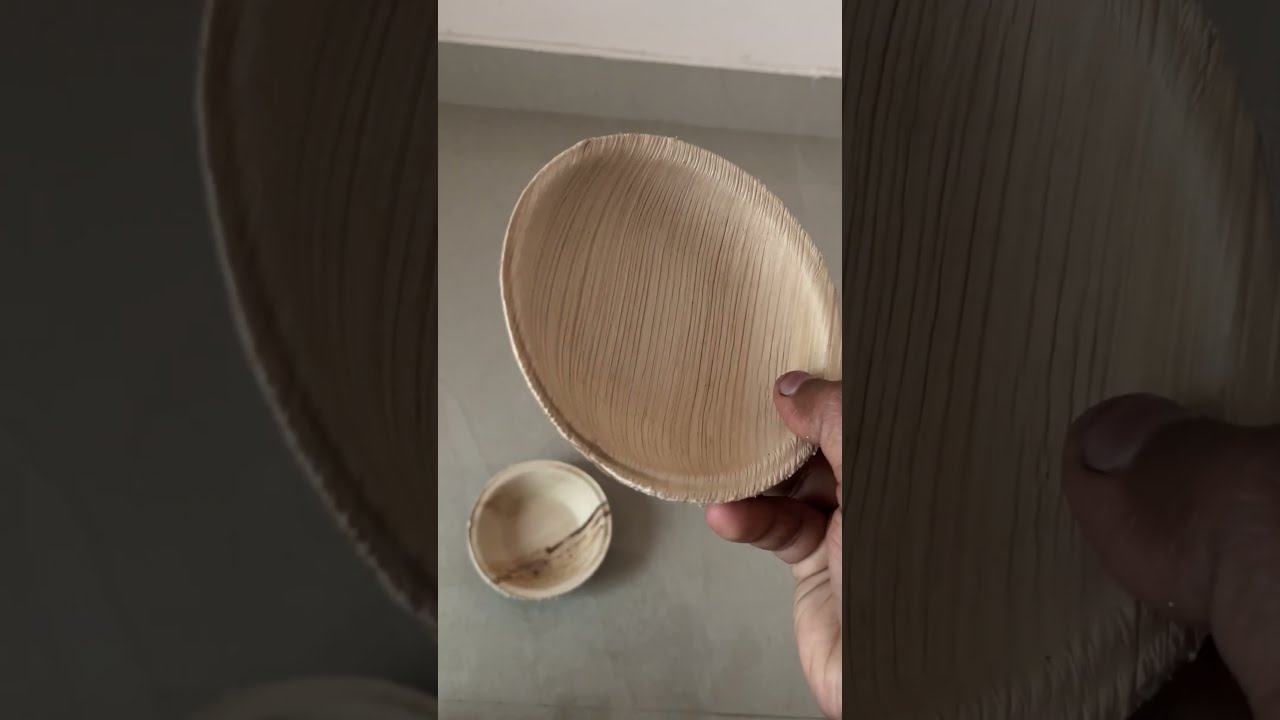 Areca Bowls for Every Serve 🥗 2.5'' to 6'' | Natural & Disposable! 
