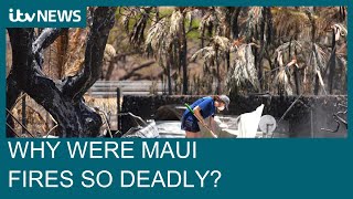 Maui wildfires: How did the wildfires begin and why were they so deadly? | ITV News