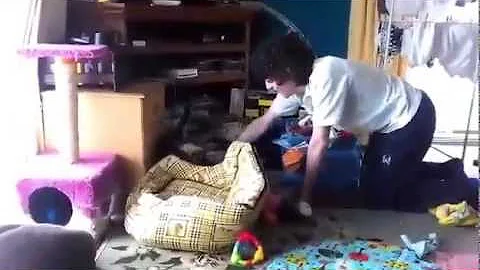 Brandi + Sparrow VS Dinosaur