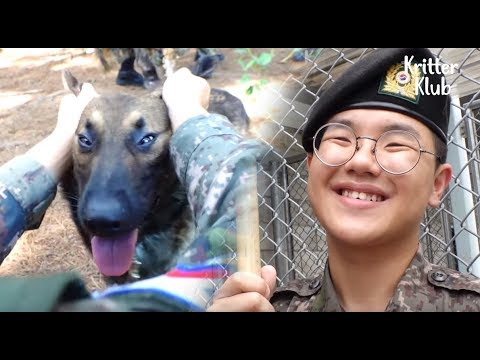 Video: Seorang Veteran Menemukan Anjing Sempurna-Nya Terima Kasih Untuk Anda!