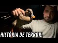 Indo para o @GUTEJANDOO com o @sitioxavier na estrada sinistra de madrugada | Aves Recriar