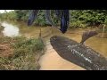 Amazing strange  fishing  trap 2017  how to catch fish by hands  123netfishing