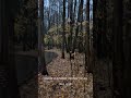 Психология, стих, смысл, молодость, старость