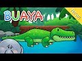 Lagu Anak Indonesia | Buaya