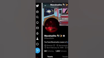 What To Do With Twitter Blue Verified? #twitterblue #verified