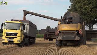 New Holland CR 980 in de tarwe