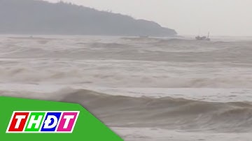 Cà Mau: Thuyền viên rơi xuống biển, Quảng Ngãi: Ngư dân bị sóng biển hất văng | THDT