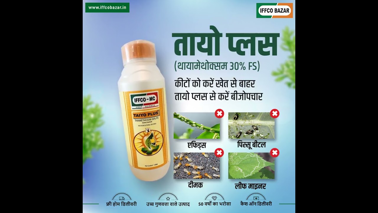 तायो प्लस