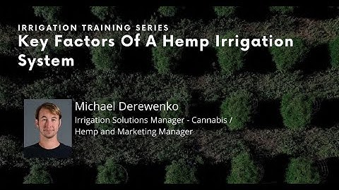 Key Factors Of A Hemp Irrigation System | Michael Derewenko