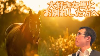 大好きな馬とお別れした方へ